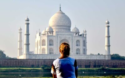 Golden Triangle with Tigers