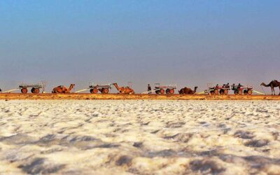 The jewel of the West- Gujarat